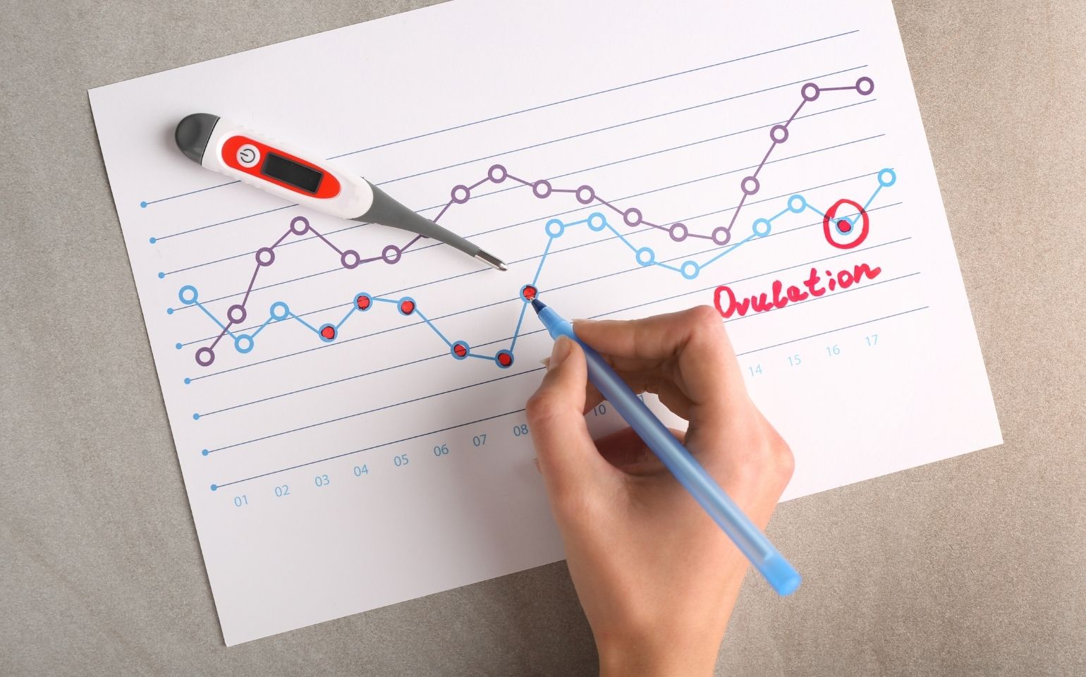 Calculate Your Menstruation Cycle